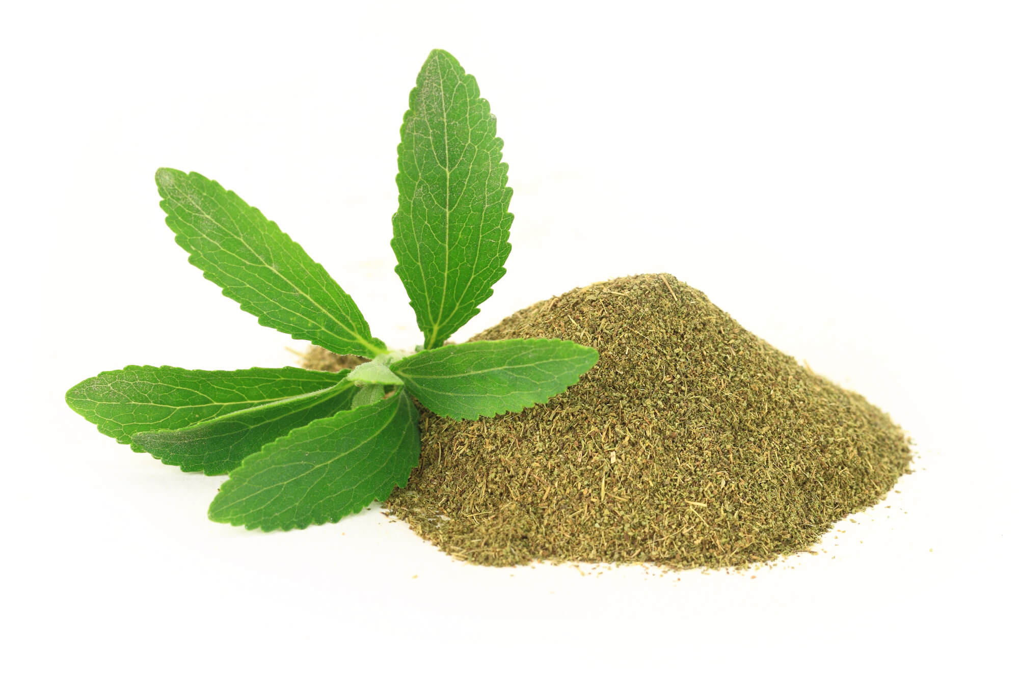 fresh raw stevia for electrolyte powder